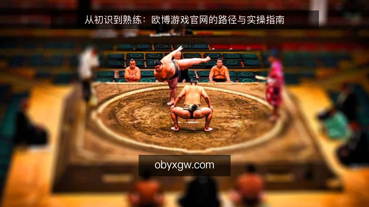 从初识到熟练:欧博游戏官网的路径与实操指南