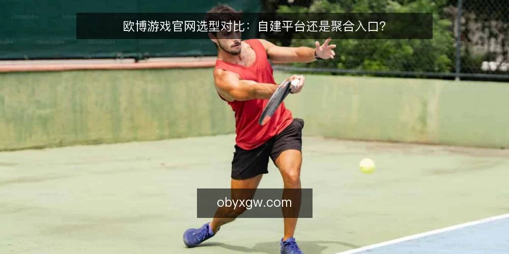 欧博游戏官网选型对比：自建平台还是聚合入口？ — 为何现在需要审计接入方式 配图