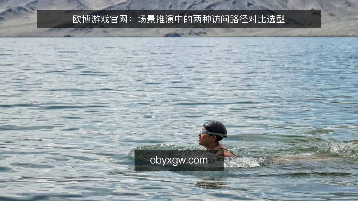 欧博游戏官网:场景推演中的两种访问路径对比选型